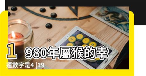 屬猴幸運數字|【屬猴 幸運色】屬猴必看！2024年「大猴喜」！你的幸運色讓你。